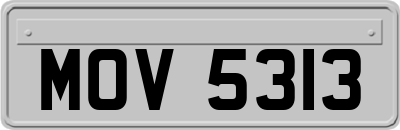 MOV5313