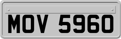 MOV5960