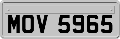 MOV5965