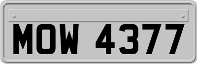 MOW4377