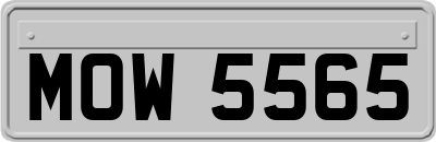 MOW5565