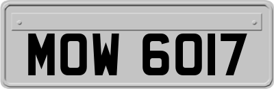 MOW6017