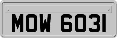 MOW6031