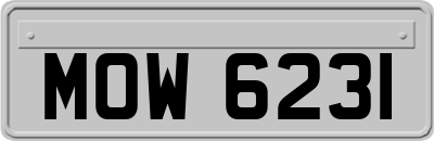 MOW6231