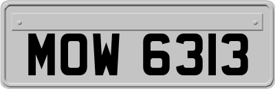 MOW6313