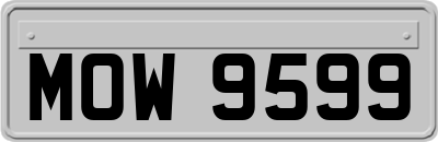 MOW9599