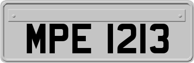 MPE1213