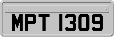 MPT1309