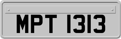 MPT1313