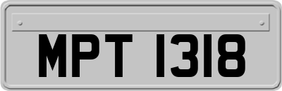 MPT1318