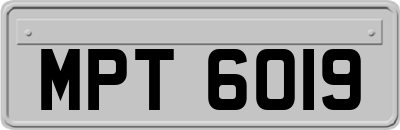 MPT6019