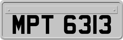 MPT6313