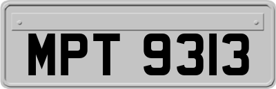 MPT9313