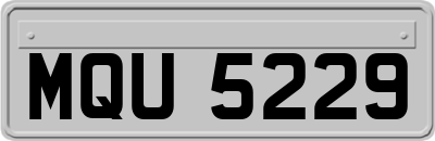 MQU5229