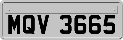MQV3665