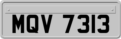 MQV7313