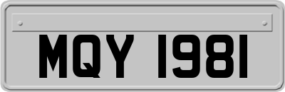 MQY1981