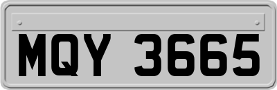 MQY3665