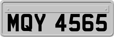 MQY4565