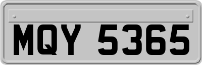MQY5365