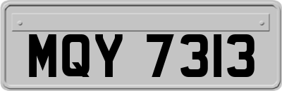 MQY7313
