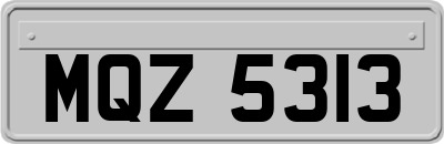 MQZ5313