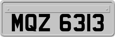 MQZ6313