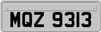 MQZ9313