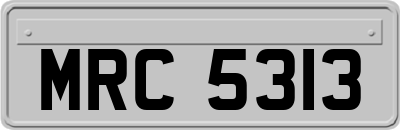MRC5313