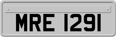 MRE1291
