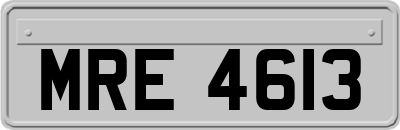 MRE4613