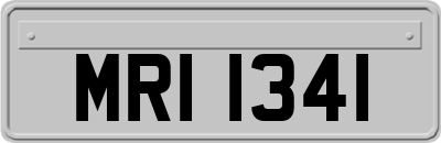 MRI1341