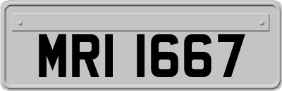 MRI1667