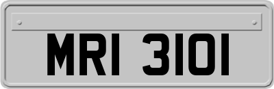 MRI3101