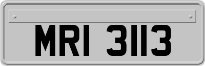 MRI3113