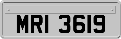 MRI3619