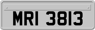 MRI3813