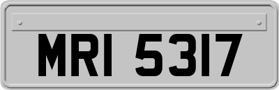 MRI5317