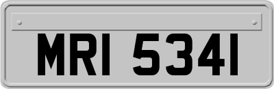 MRI5341