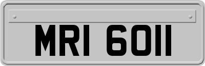 MRI6011