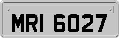 MRI6027