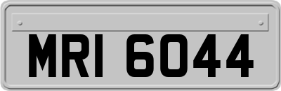 MRI6044