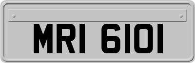 MRI6101
