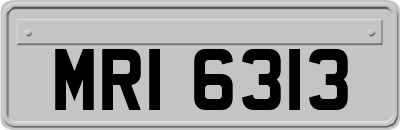 MRI6313