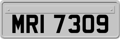 MRI7309