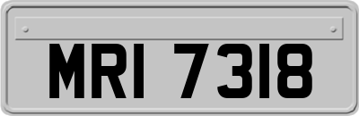 MRI7318