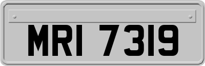 MRI7319