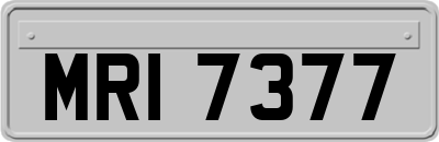 MRI7377