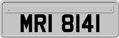 MRI8141