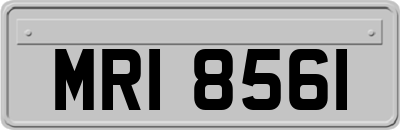 MRI8561